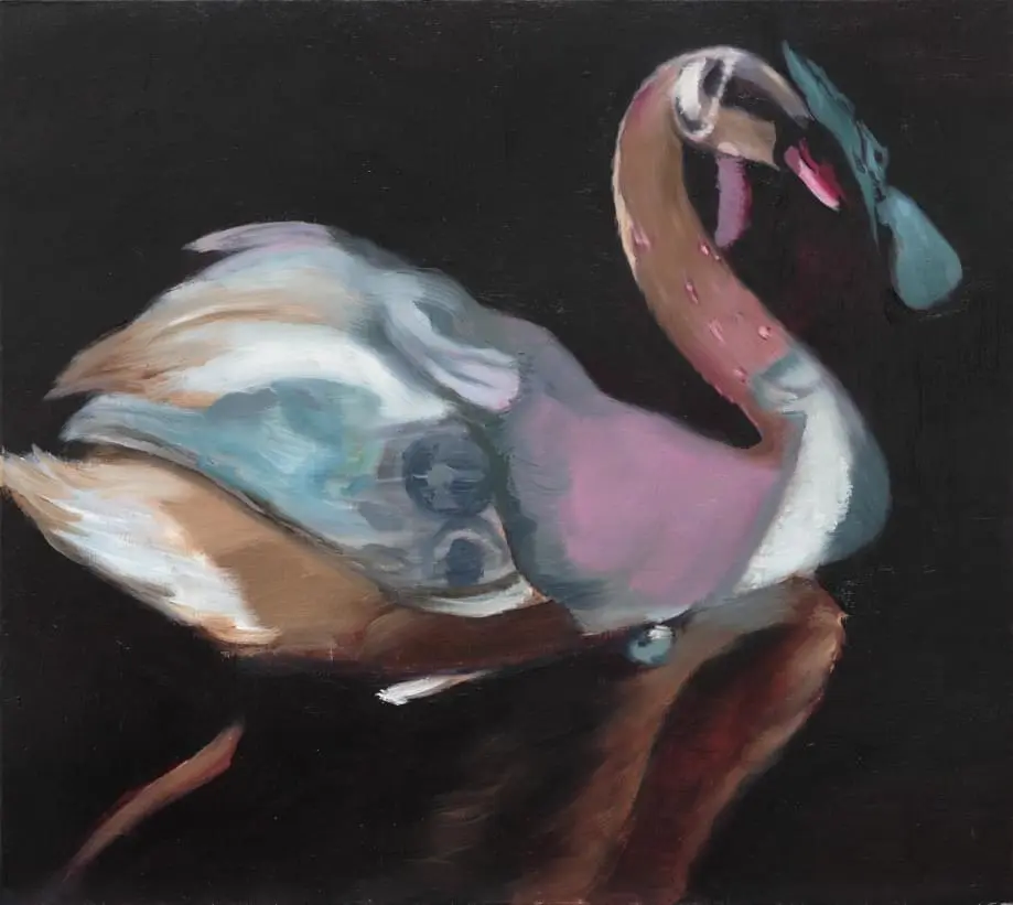 Lonely swan